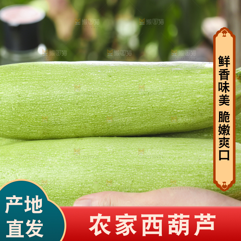 手里拿着嫩茭瓜