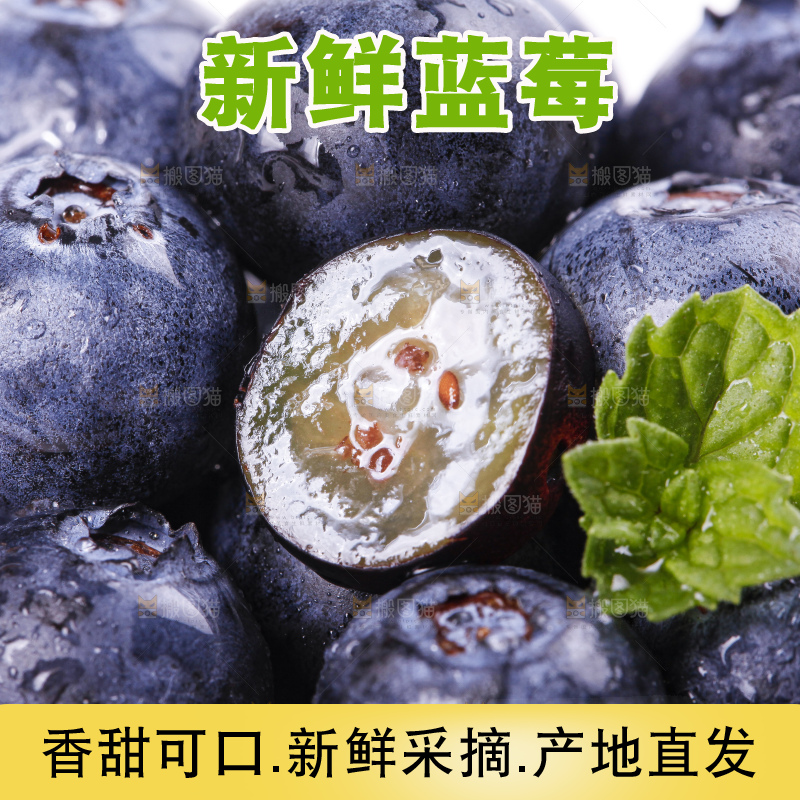 碟子里装着蓝莓