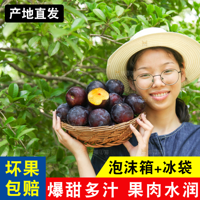 手里拿着一篮陕西黑布林