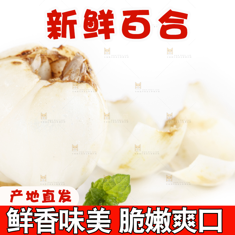 白底上放着鲜百合