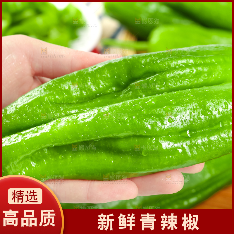 手里拿着青椒