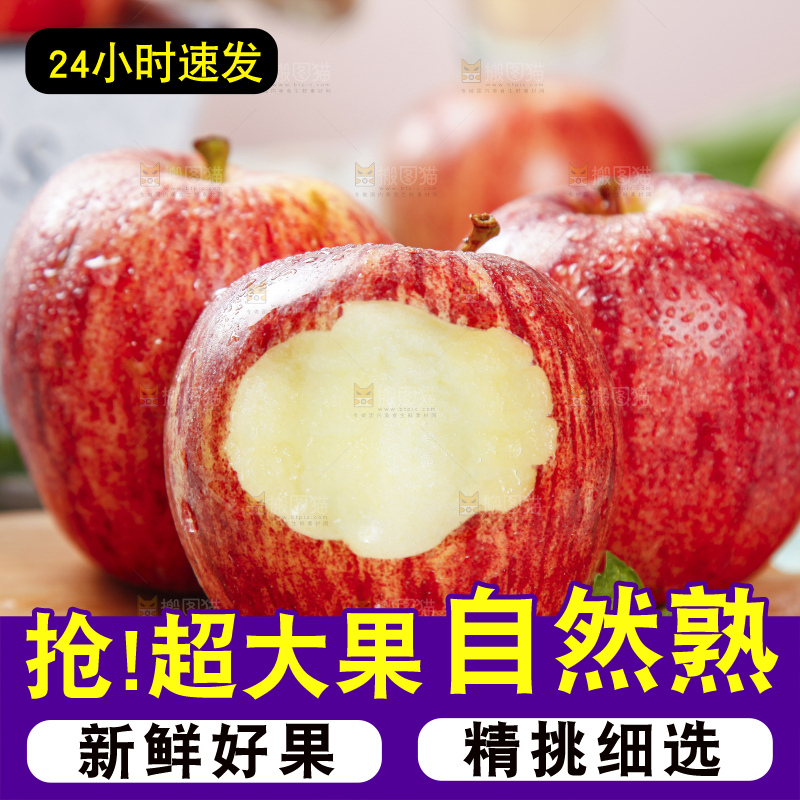 木底上摆放着山西秦冠苹果