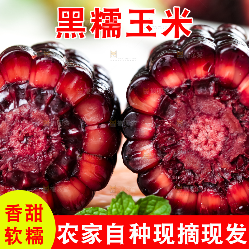 木底上摆放着东北黑玉米
