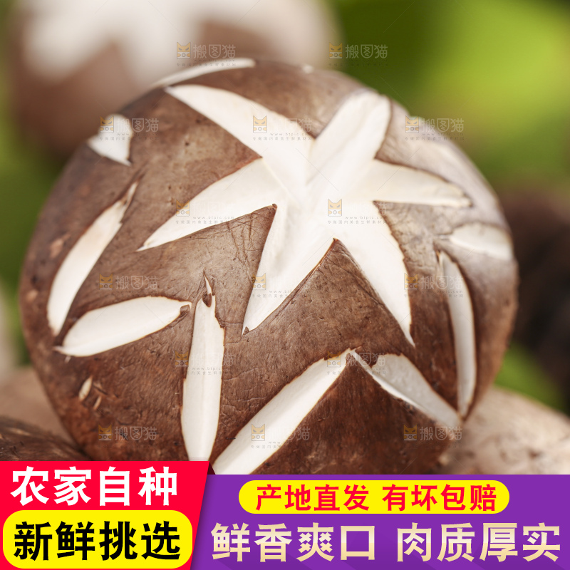 编织垫上放着香菇