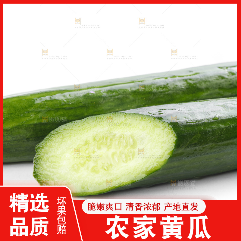 白底上摆放着嫩黄瓜