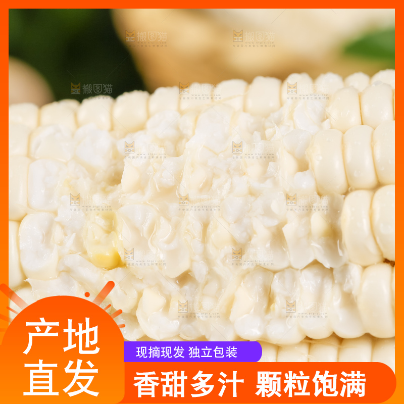 黑底上放着白玉米