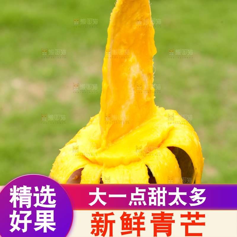 手里拿着青芒