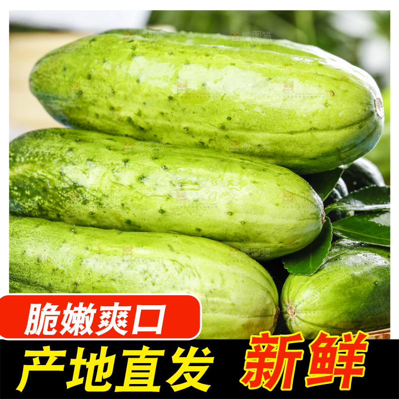 篮子里装着青瓜