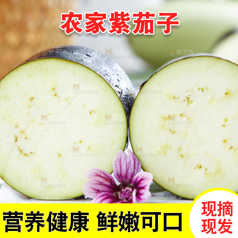 白底上摆放着紫茄子