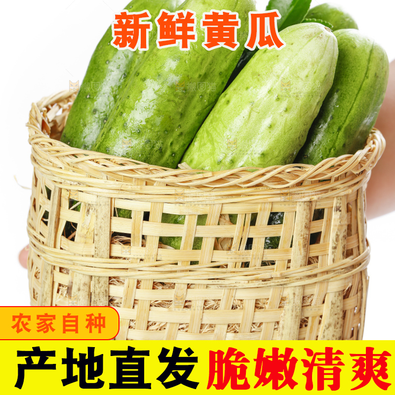 篮子里装着蔬菜黄瓜