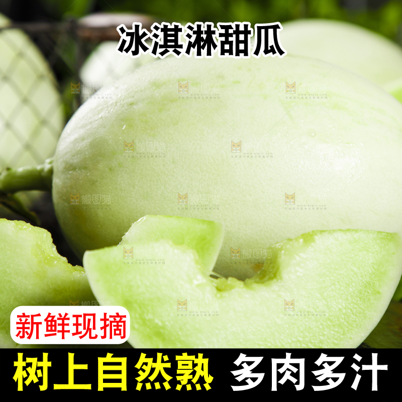黑底上摆放着山东玉菇甜瓜