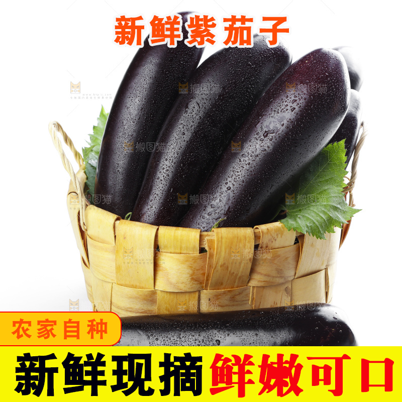 篮子里装着紫茄子
