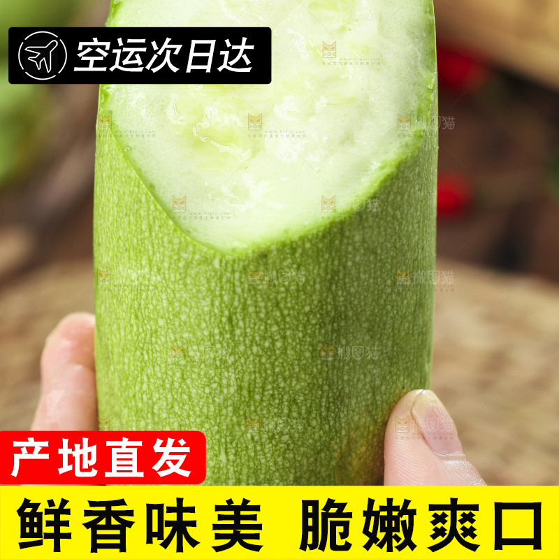 手里拿着茭瓜