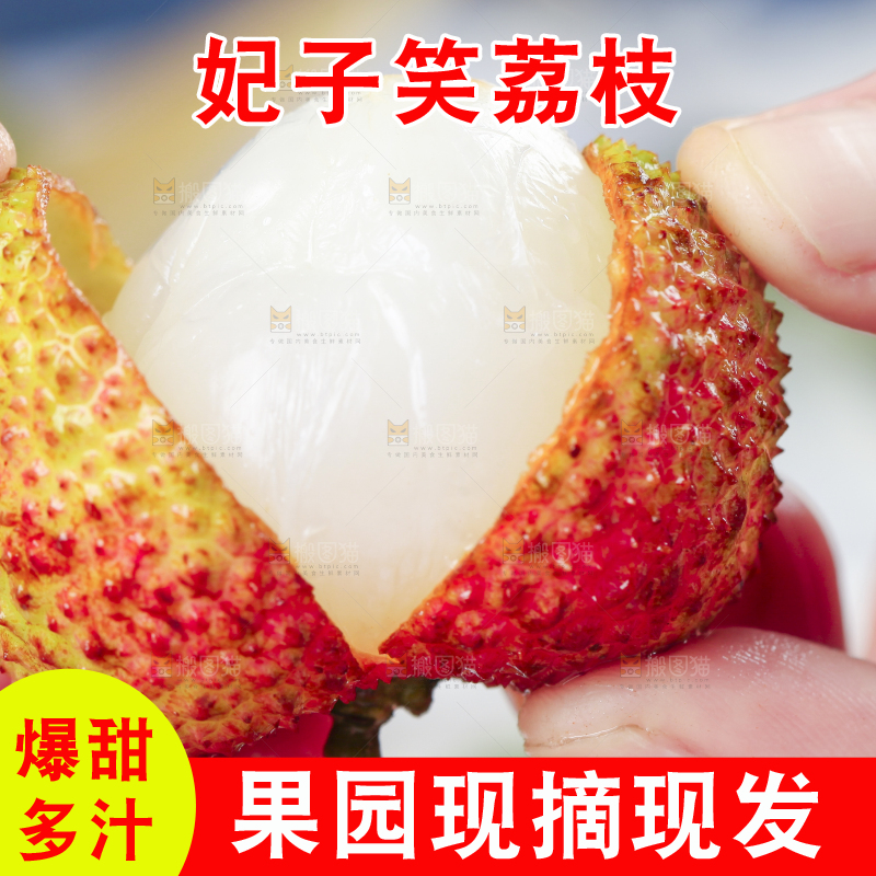 手里拿着妃子笑荔枝