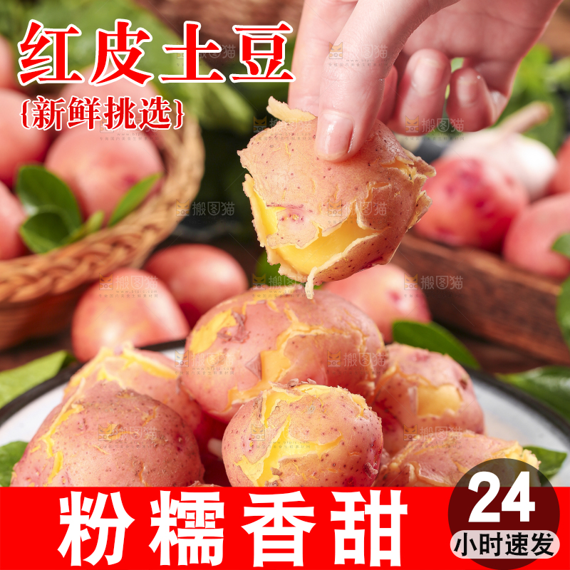 手里拿着红皮土豆