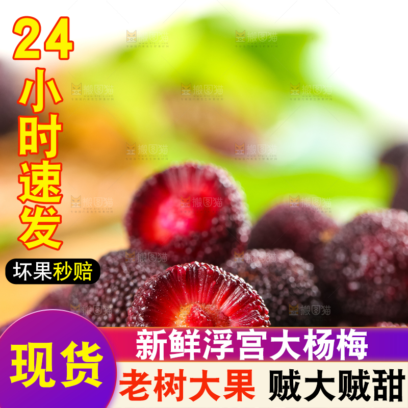 木底上放着新鲜杨梅