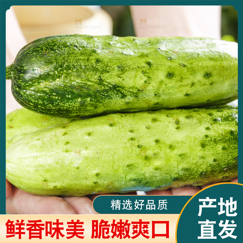 手里拿着刺黄瓜