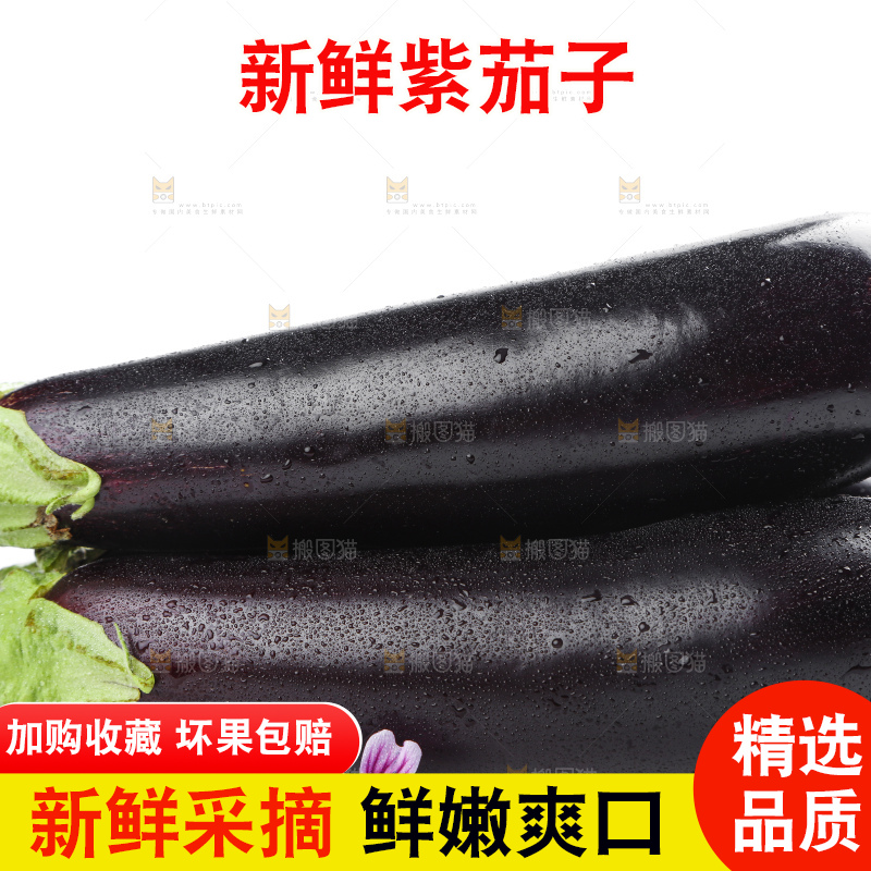 白底上摆放着紫茄子