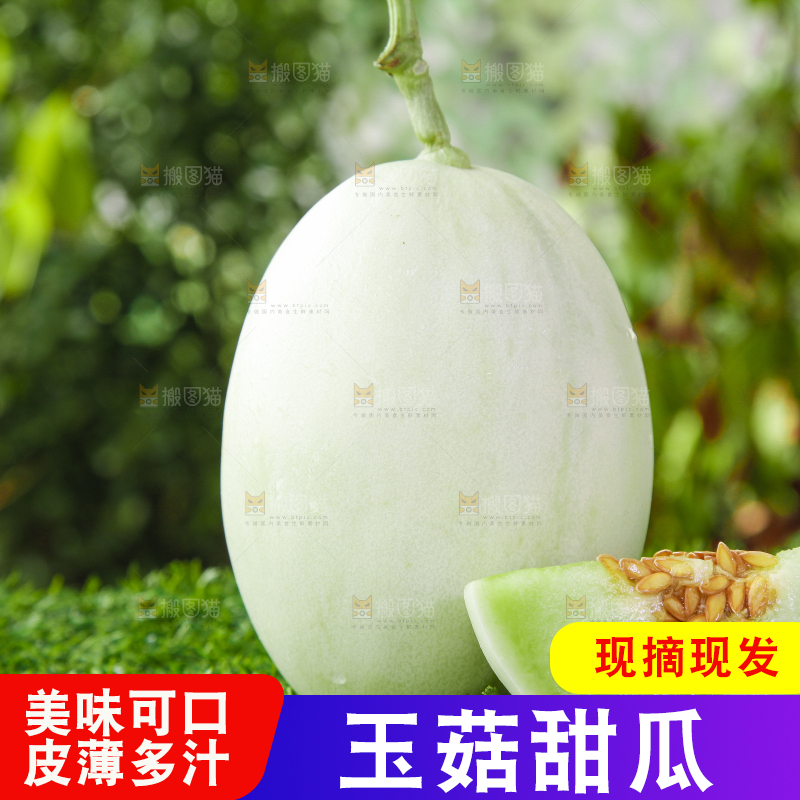 绿草地上摆放着玉菇甜瓜
