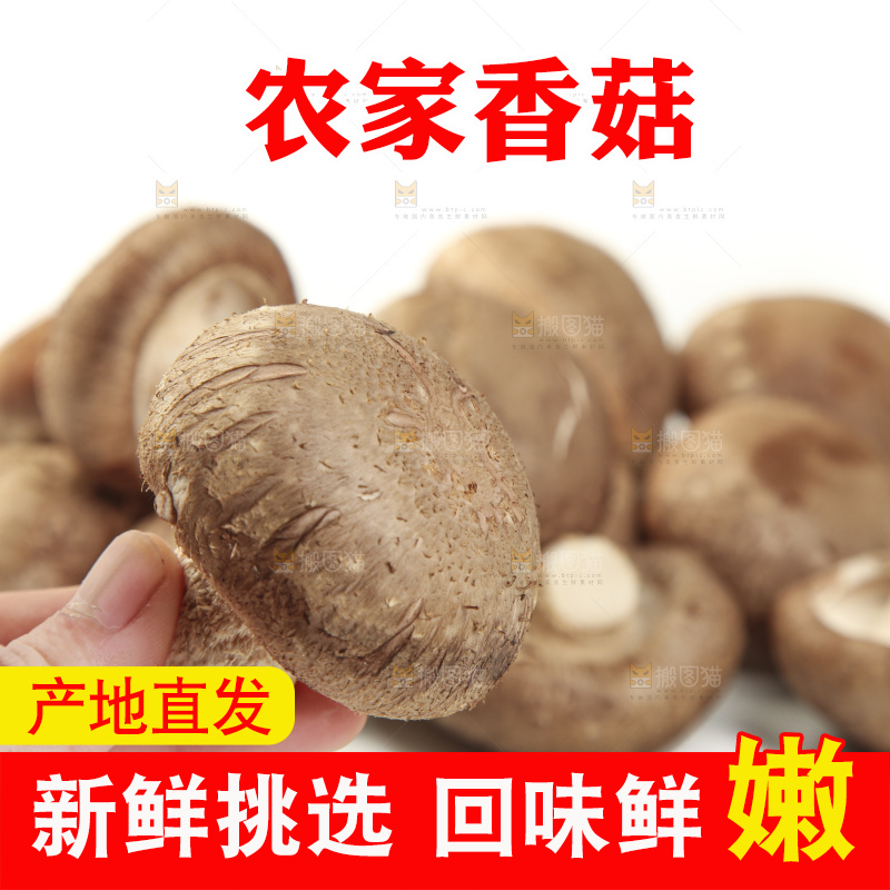白底上放着香菇
