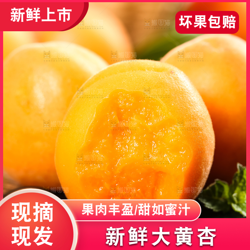 黑底上放着黄杏