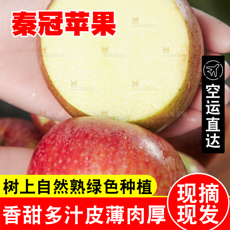 手里拿着秦冠苹果