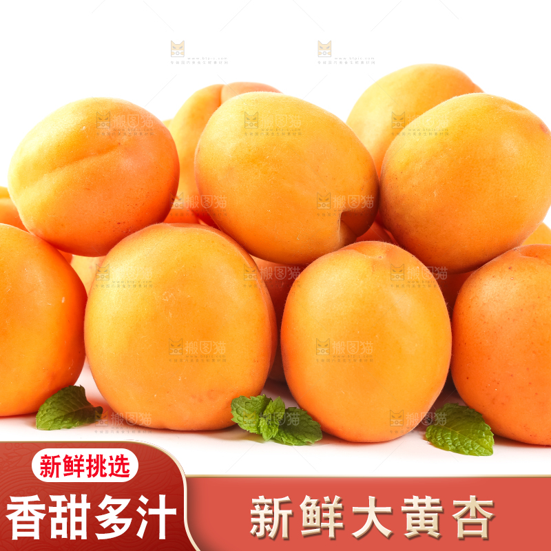 白底上放着陕西新鲜大黄杏