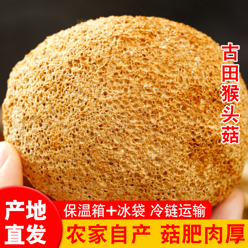 手里拿着猴头菇