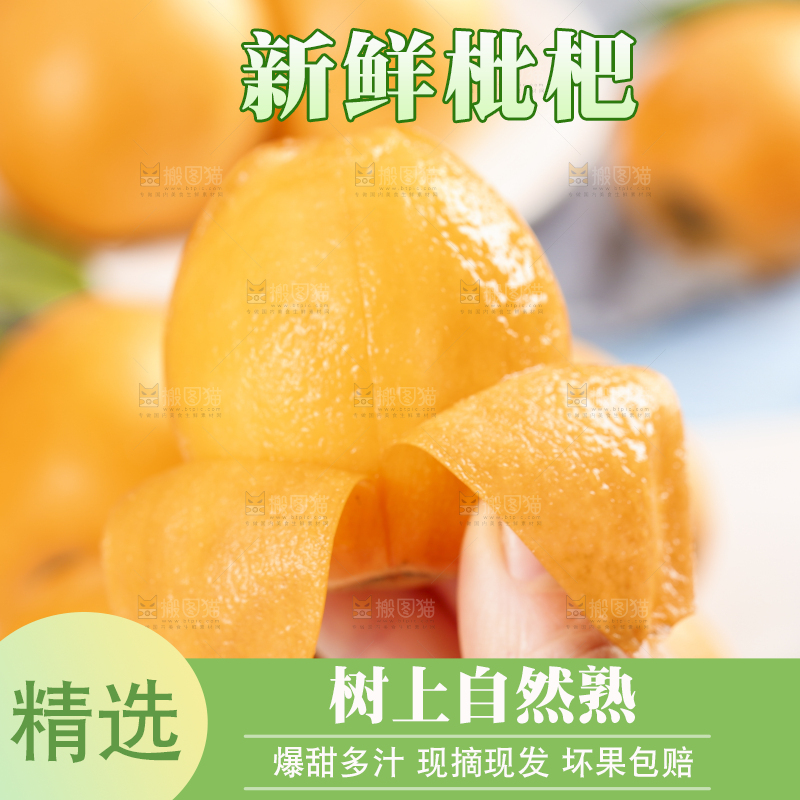 手里拿着枇杷果