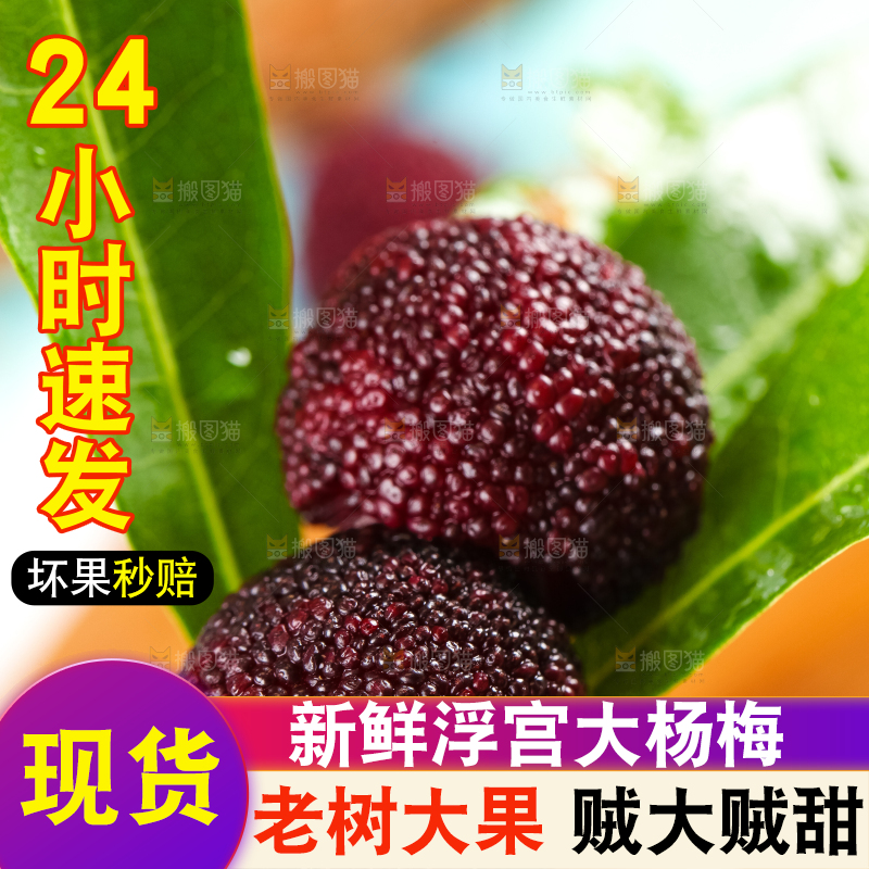 手里拿着杨梅