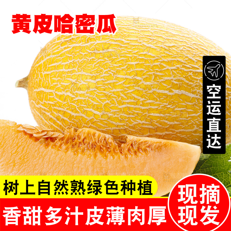 白底上摆放着黄皮蜜瓜