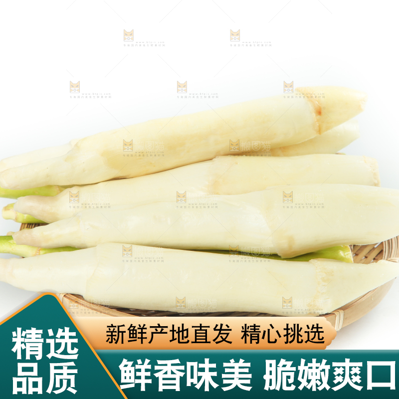 白底上摆放着茭笋