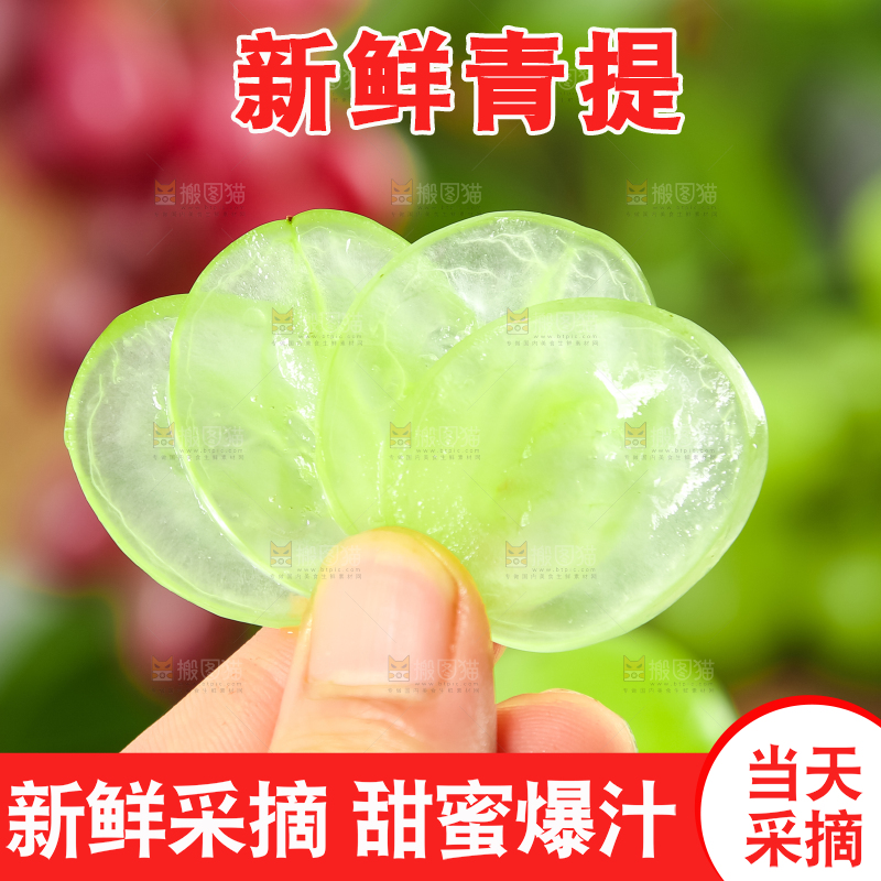 手里拿着新鲜青提