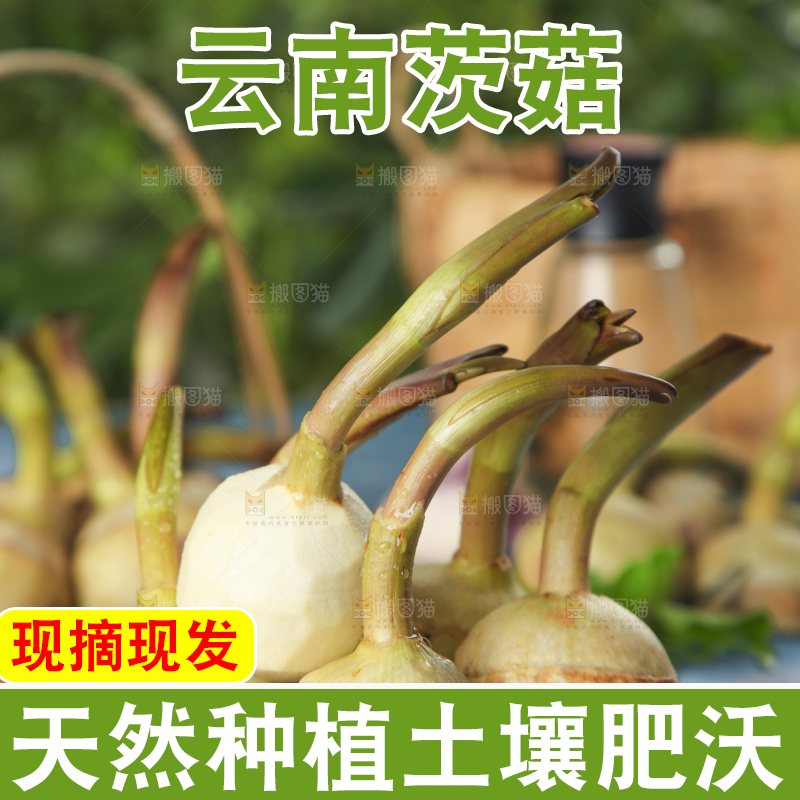 盘子里装着慈菇