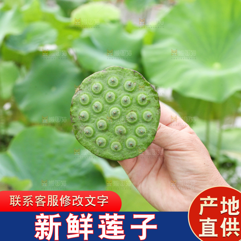 手里拿着莲子