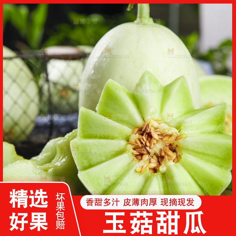 黑底上摆放着山东玉菇甜瓜