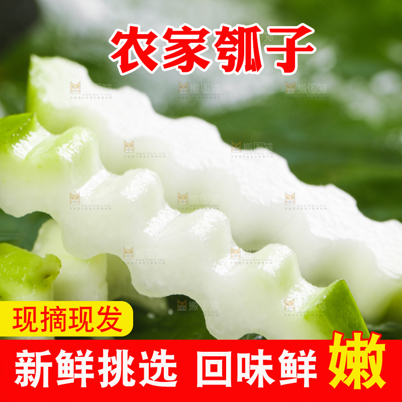 绿叶上放着切丝的瓠子瓜