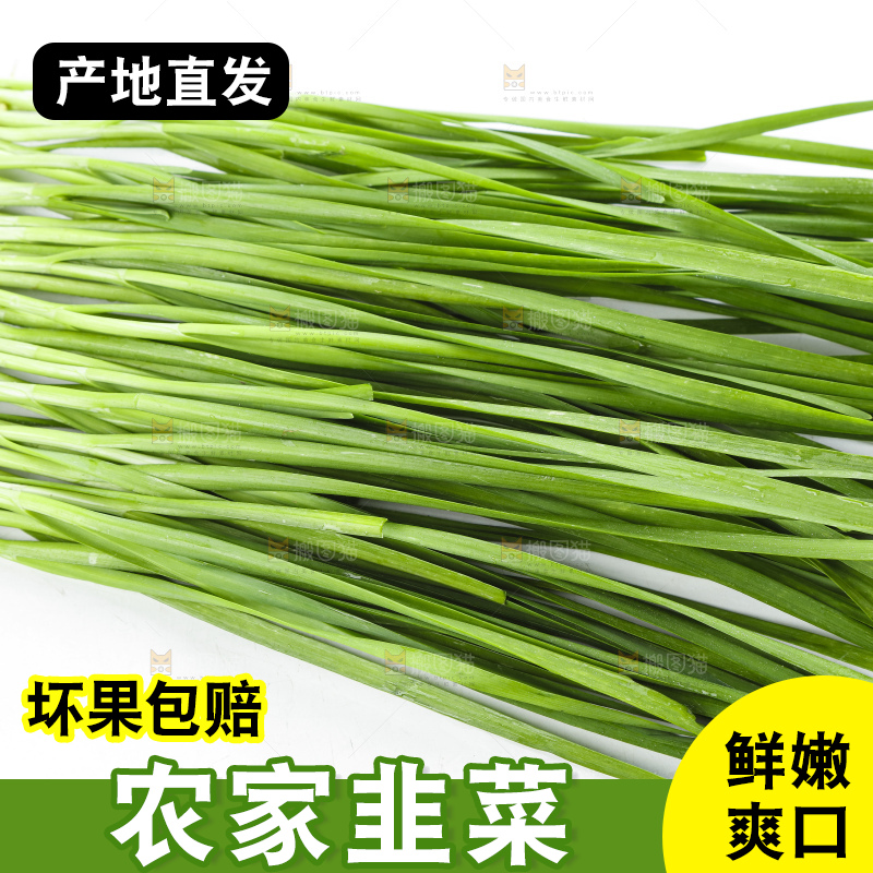 竹签上串着新鲜韭菜