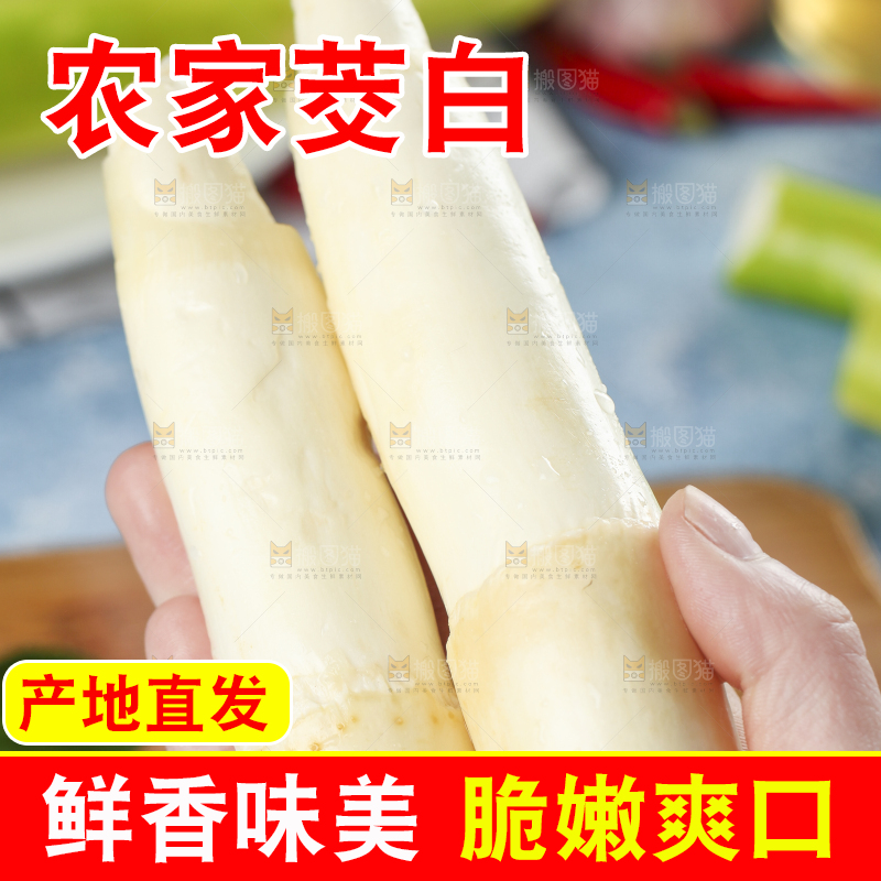 手里拿着农家茭白