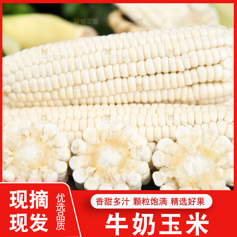 深底上放着漳州牛奶玉米