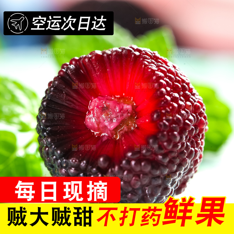 浅底上摆放着鲜杨梅