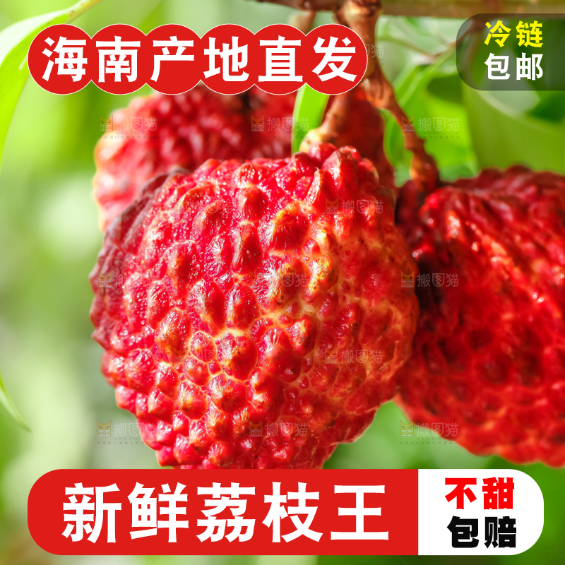 手拿着荔枝王