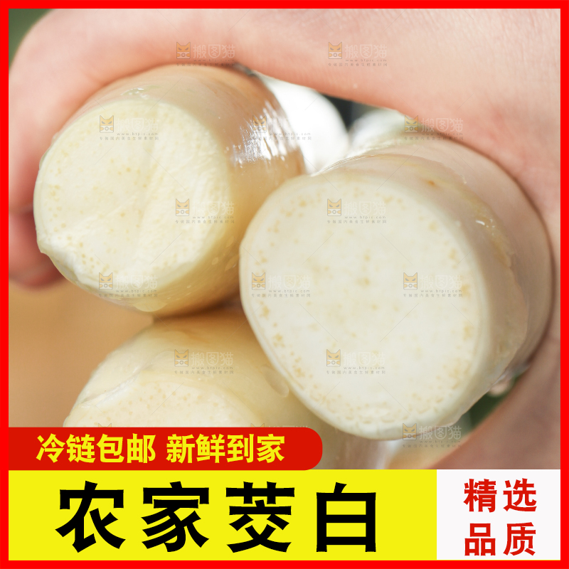 手里拿着农家茭白