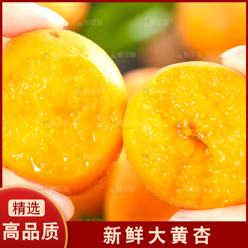 手里拿着黄杏