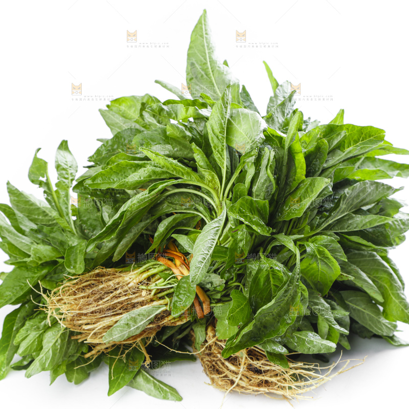 白底上放着一把苋菜