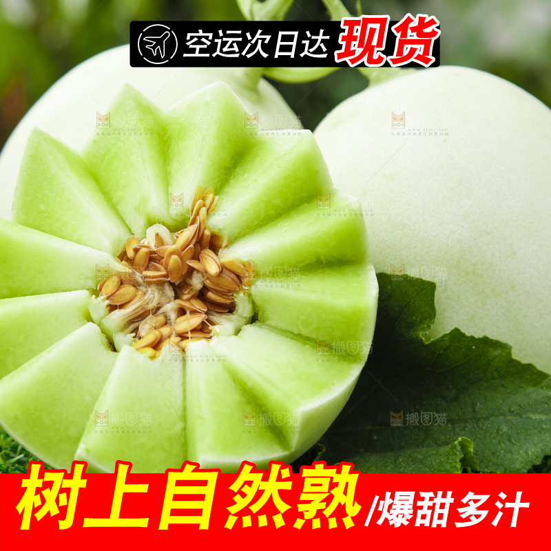 草地上摆放着玉菇甜瓜