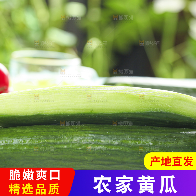 白底上摆放着水果黄瓜