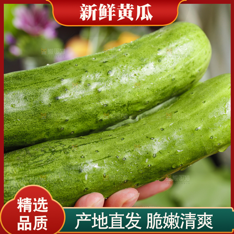手里拿着嫩黄瓜