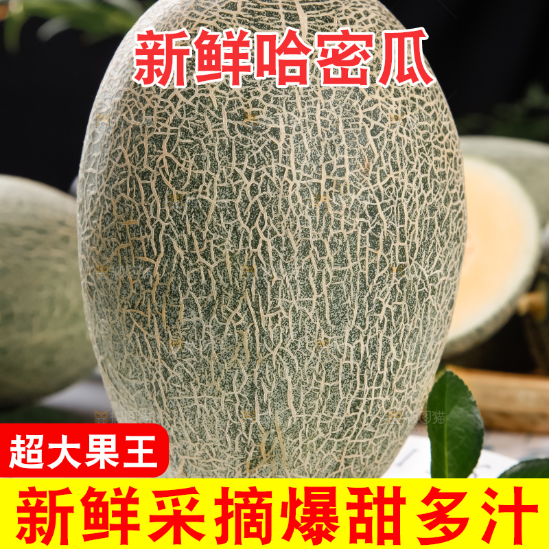 木底上摆放着网纹瓜