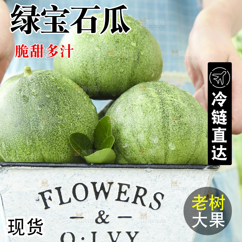 手里拿着绿宝小甜瓜 
